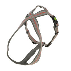 Harness Xenos Reflective grey/red