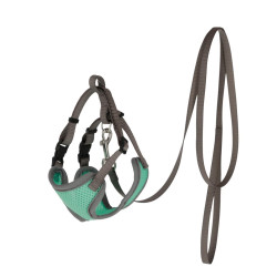 Cat Harness with Leash