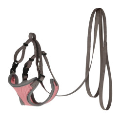 Cat Harness with Leash