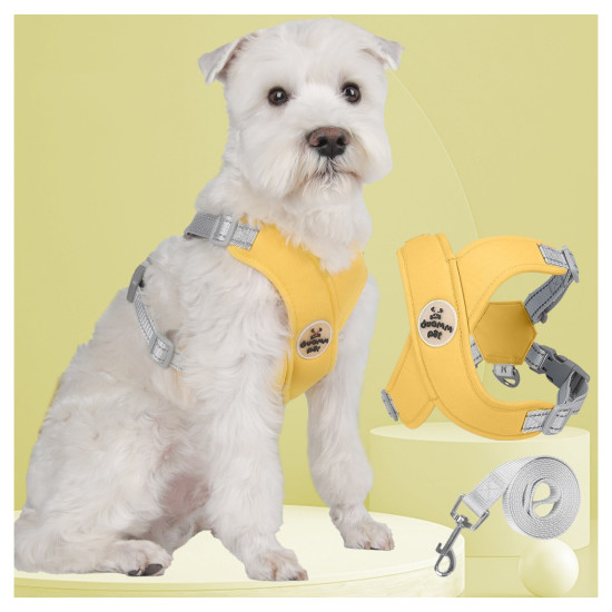 Pastel Colors Pet harness with Leash