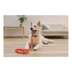 Training Leash-Puno Orange-Black