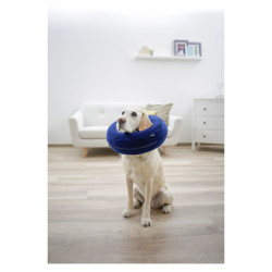Surgical inflatable collar