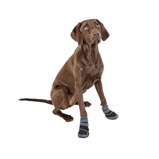  Paw Protector set of 2