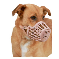 Muzzle Plastic with leather straps