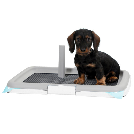 Puppy Toilet Training Set 60x40x4cm